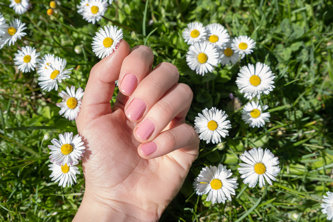 een hand met mooie nagelkunst rustend op gras met madeliefjes